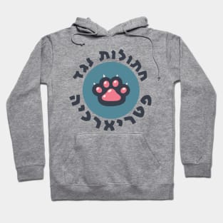 Hebrew: Cats Against the Patriarchy - Jewish Feminism Hoodie